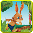 bunny looney  jungle