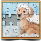 cute dog photo Jigsaw puzzle game biểu tượng