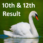 10th 12th Board Results 2017 biểu tượng