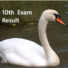 10th Exam Result 2017 ไอคอน