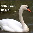 10th Exam Result 2017 APK