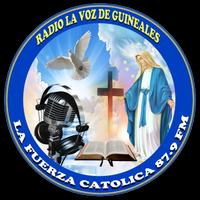 Radio la voz de Guineales 스크린샷 2