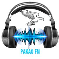 Radio Pakao FM en Live постер