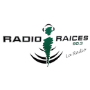 Radio Raices Goya APK