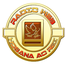 Radio Web Hosana Ao rei APK