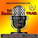 Radiotvlael APK