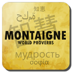 Citations de Montaigne ikon
