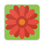 Fiori di Bach Facile