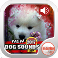 Dog Sounds