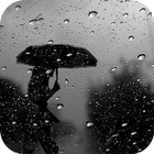 Rain and umbrella LWP icône