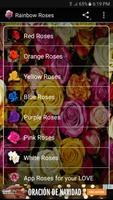 Poster Rose arcobaleno