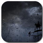 Rain Drops Live Wallpaper icône