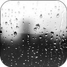 ikon Rain Drops Video Wallpaper