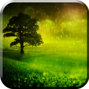 Rain In The Valley LiveWP APK