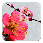 →