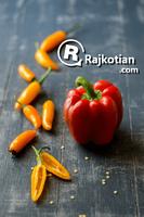 Rajkotian - Food Delivery Affiche