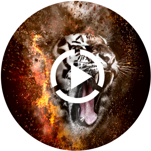 Motivational Video Status for Whatsapp  2018