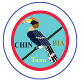 Chin Tuanbia icône