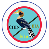 Chin Tuanbia icon