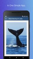 Whale Watching Sri Lanka Affiche