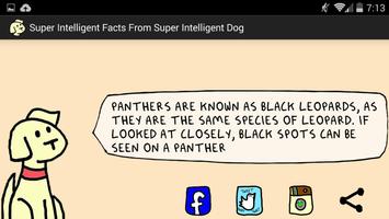 Super Intelligent Facts-poster