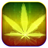 Rasta fantasy color icon