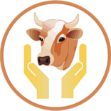 Cow Adoption