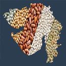 Ration Card Guj APK