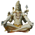 Yoga Mudras