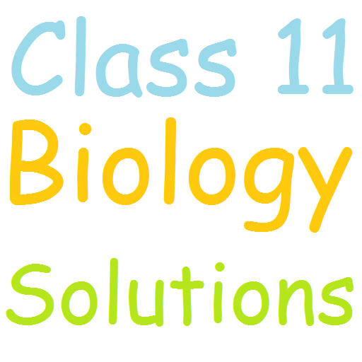 Class 11 Biology Solutions