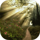 Sunny Forest Live Wallpaper APK