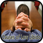 Causes of Low Libido 图标
