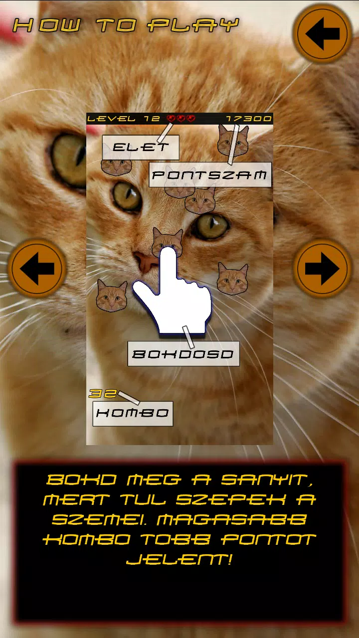Sanyi a Macska APK for Android Download