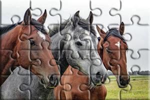 Real jigsaw puzzles Affiche