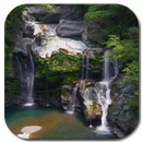 Real Waterfall Video Wallpaper APK