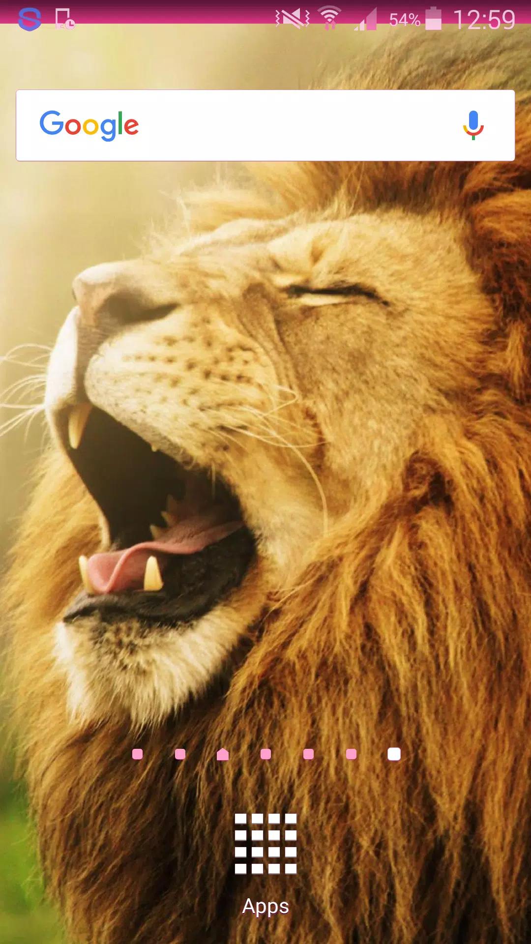 Lion Wallpapers APK for Android Download Lion Wallpapers APK for Android Download