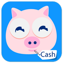 Receipts for Cash Hog app Tips APK