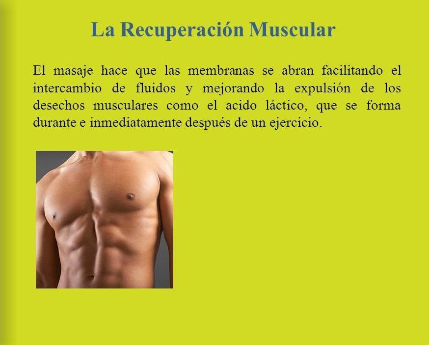 Recuperacion Muscular For Android Apk Download - muscles y musculos roblox
