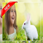 Rabbit Photo frame biểu tượng