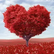 Amor coração árvore