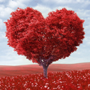 Heart Tree Love APK