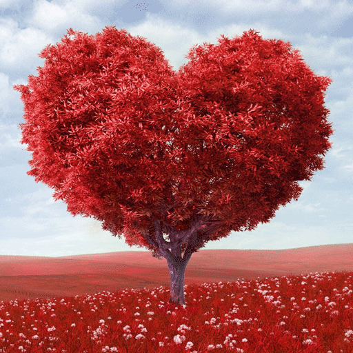 Cuore albero di amore
