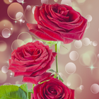 Rosa vermelha tema bolha sonho ícone