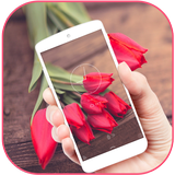 Red Tulip Bloom Aroma Theme آئیکن