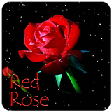 Red Rose Star Sky Theme icon