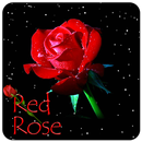 Red Rose Star Sky Theme APK