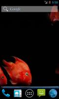 Red Fish Video Live Wallpaper स्क्रीनशॉट 1