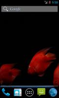 Red Fish Video Live Wallpaper screenshot 2