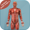 Human Body Parts APK