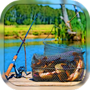 Fishing APK